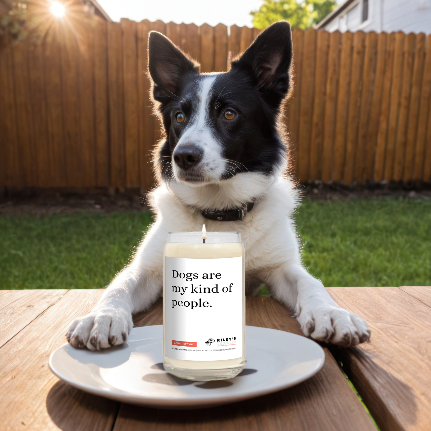 Dogs Are My Kind Of People