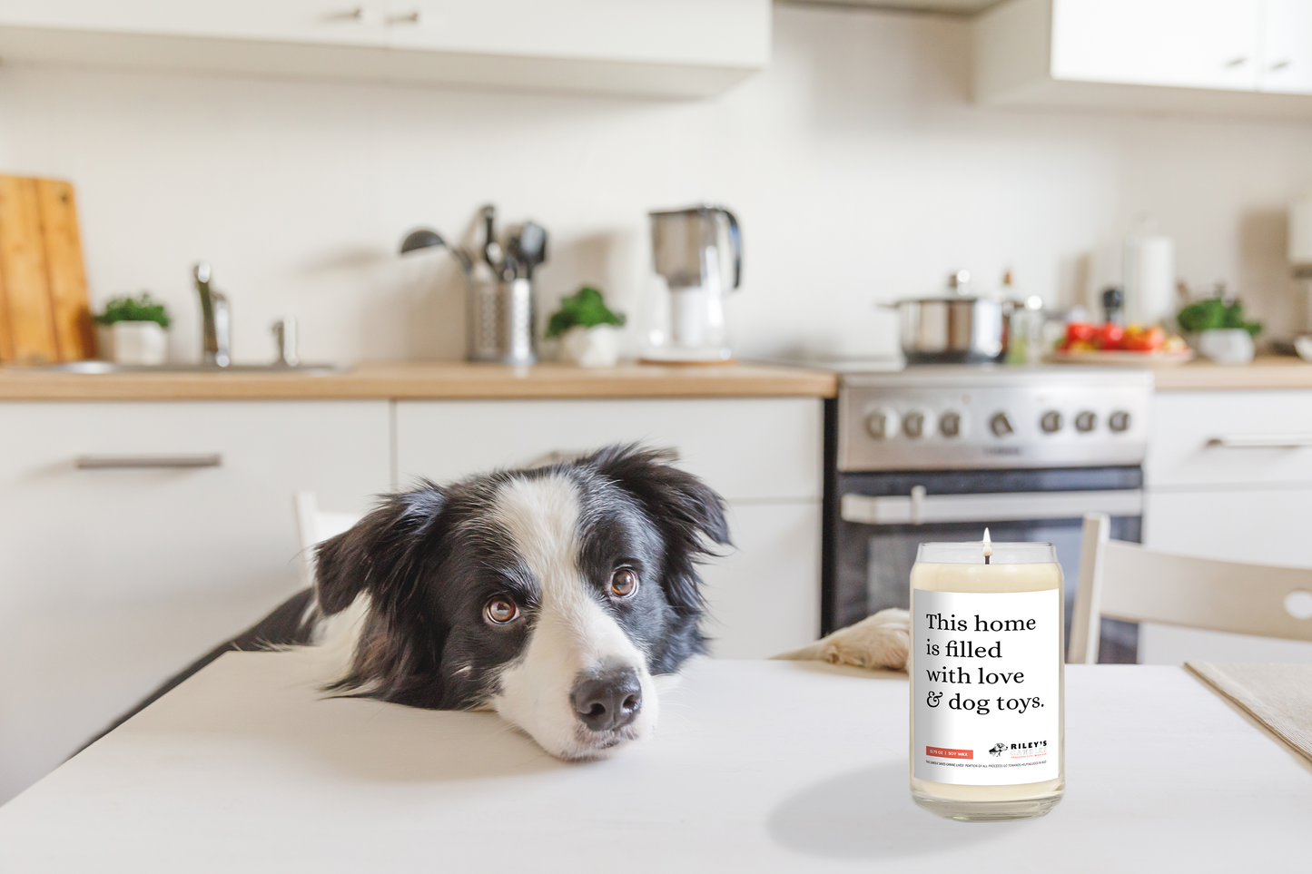 This Home Is Filled With Love & Dog Toys