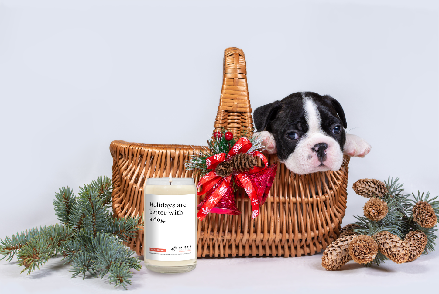 Holidays Are Better With a Dog