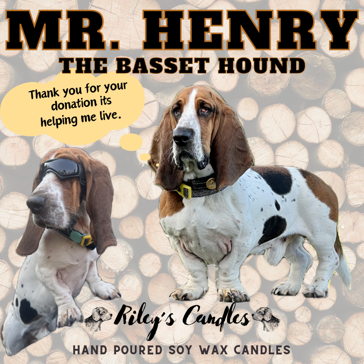 "Mr. Henry" The Basset's Life Saver!