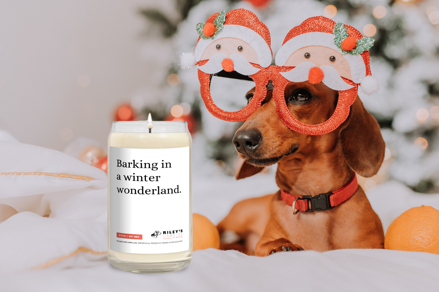"Barking In a Winter Wonderland" Festive Phrases 13.75oz Soy Wax Candle