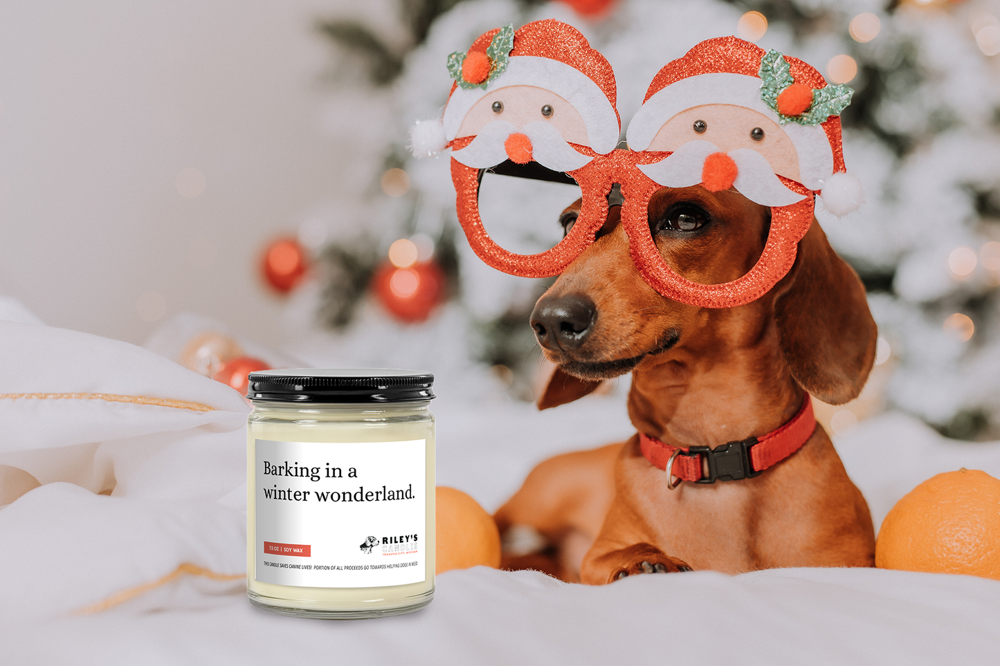 "Barking In a Winter Wonderland" Festive Phrases 7.5oz Soy Wax Candle